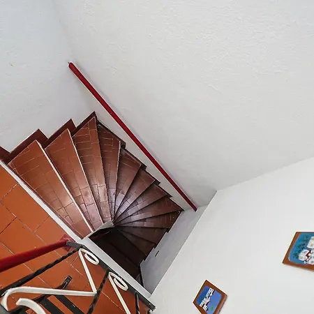 Casa Tipica Portuguesa Holiday home Setubal